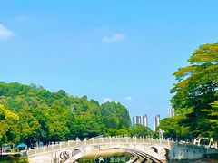-顺峰山公园