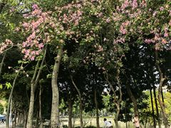 -华南理工大学五山校区-运动场