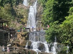 -鼎湖山风景区