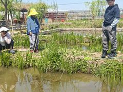 -同銮特种养殖场·龙虾垂钓