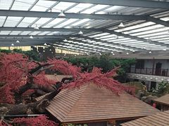 -老山东·山东菜(鲁菜名店)