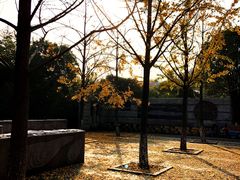 -上海长江河口科技馆