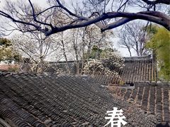 -苏州文庙(姑苏区)