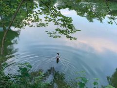 -木守西溪溪隐餐厅