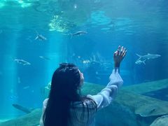 -福州罗源湾海洋世界旅游区