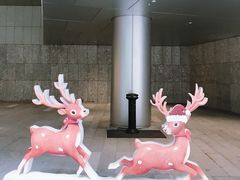 -深圳湾万象城(南山店)