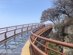 -少华山国家森林公园