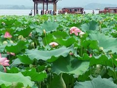 -西湖游船
