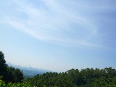 -火炉山森林公园
