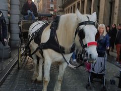 -布鲁塞尔大广场