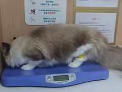 -谐和贝康宠物医院24小时·宠保定点(急重症转诊中心)