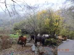 -叠溪松坪沟景区