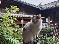 -龙姐私房菜(和顺古镇店)