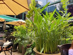 -熙楼(翠湖店)
