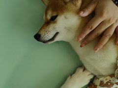 -怪兽屋·羊驼·猫咖·狗咖(俊华广场店)