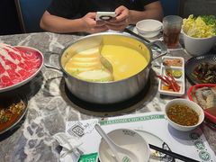 -禄婶鸡煲·打边炉