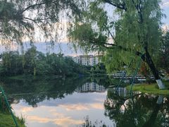 -北湖公园