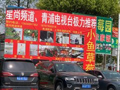 -小鱼草莓采摘园农家乐·小鱼餐厅