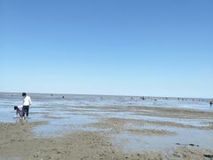 -东疆建设开发纪念公园