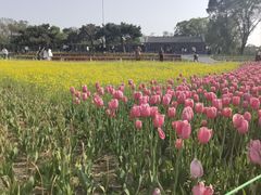 -北陵公园