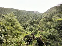 -苍山感通索道