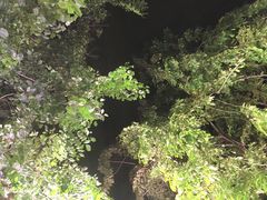 -范饭椰林川湘味海鲜·椰子鸡(三亚湾椰梦长廊店)