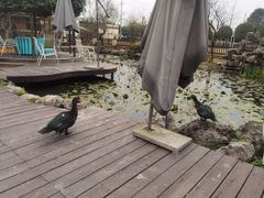 -洪湖家庭农场·团建·露营·会议