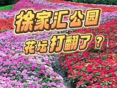 -徐家汇公园