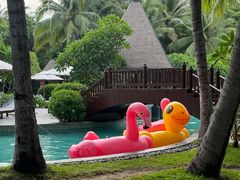 -海南清水湾莱佛士酒店