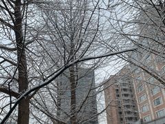 -北京化工大学(东校区)