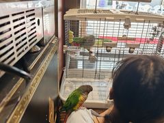 -大宅院(西溪路店)