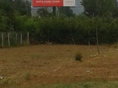 -天鹅湖生态旅游风景区