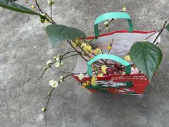 -丸摩堂鲜果茶(九方店)