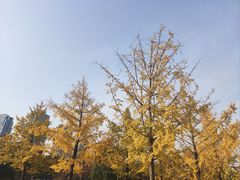 -重庆中央公园(渝北区)