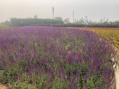 -西海岸生态观光园