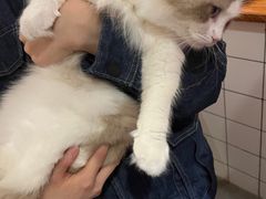 -猫友咖啡店(玉林西路店)