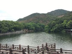 -白马涧龙池景区