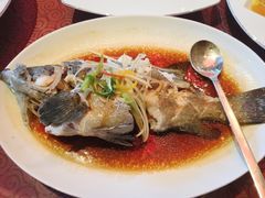 清蒸海石斑-海航大厦万豪酒店彩海轩中餐厅(霄云路店)