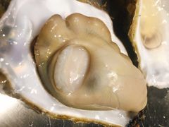 蚝王-蚝堡海鲜·威海菜·海肠捞饭·烧烤·亚洲吃蚝公司(幸福门店)