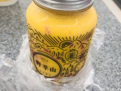 -野萃山·潮汕厚果汁(十亩地店)