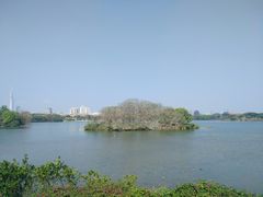 -海珠湖公园