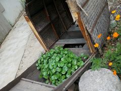 -外婆船宴餐厅·外婆喊你回家吃饭