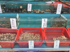 水产区-新享乐海鲜(翠华路店)