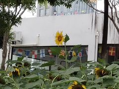 -五通灯塔公园
