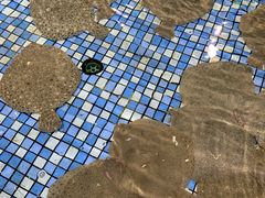 -旺豪海鲜餐厅(友谊阳光城店)