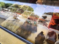 -紫燕百味鸡(银龙花园店)