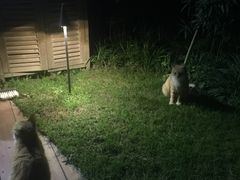 -思念果岭悦温泉