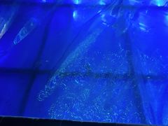 -不可思议减压馆·解压博物馆·摔碗发泄·团建定制