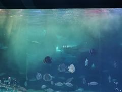 -泉城欧乐堡海洋极地世界