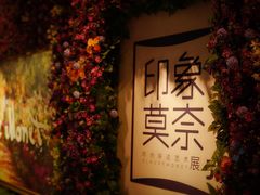 -印象莫奈时光映迹艺术展